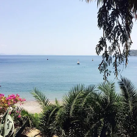 Resort Pine Beach Boutique Turunç